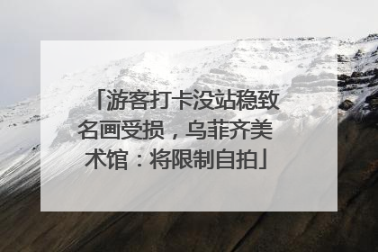 游客打卡没站稳致名画受损，乌菲齐美术馆：将限制自拍