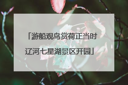 游船观鸟赏荷正当时 辽河七星湖景区开园