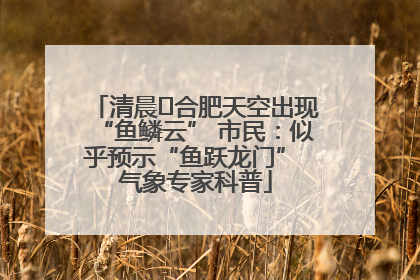清晨﻿合肥天空出现“鱼鳞云” 市民：似乎预示“鱼跃龙门” 气象专家科普