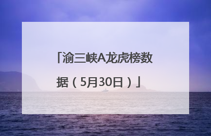 渝三峡A龙虎榜数据（5月30日）