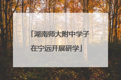 湖南师大附中学子在宁远开展研学