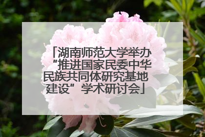 湖南师范大学举办“推进国家民委中华民族共同体研究基地建设”学术研讨会