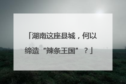 湖南这座县城，何以缔造“辣条王国”？