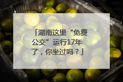 湖南这里“免费公交”运行17年了，你坐过吗？