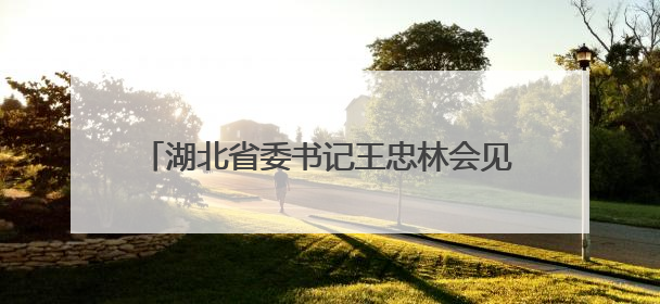 湖北省委书记王忠林会见中国电信总经理刘桂清