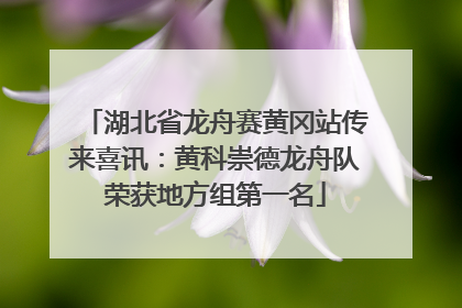 湖北省龙舟赛黄冈站传来喜讯：黄科崇德龙舟队荣获地方组第一名