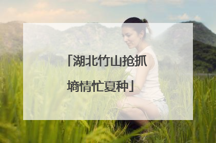 湖北竹山抢抓墒情忙夏种
