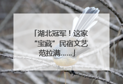 湖北冠军！这家“宝藏”民宿文艺范拉满……