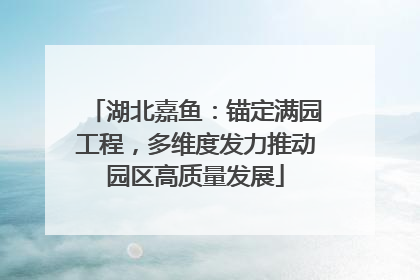 湖北嘉鱼：锚定满园工程，多维度发力推动园区高质量发展