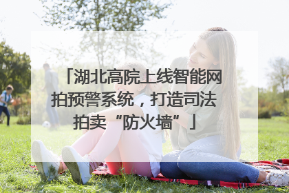 湖北高院上线智能网拍预警系统，打造司法拍卖“防火墙”