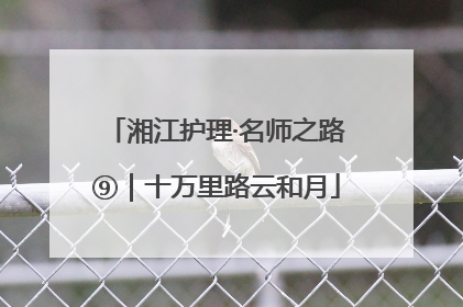 湘江护理·名师之路⑨｜十万里路云和月