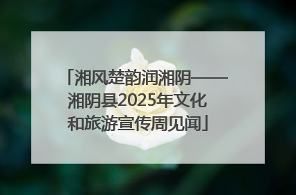 湘风楚韵润湘阴——湘阴县2025年文化和旅游宣传周见闻
