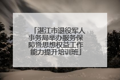 湛江市退役军人事务局举办服务保障暨思想权益工作能力提升培训班