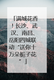 满城花香！长沙、武汉、南昌、岳阳四城联动“送你十万朵栀子花”