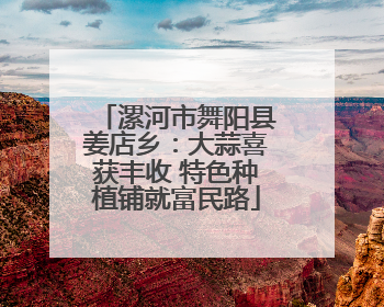 漯河市舞阳县姜店乡：大蒜喜获丰收 特色种植铺就富民路
