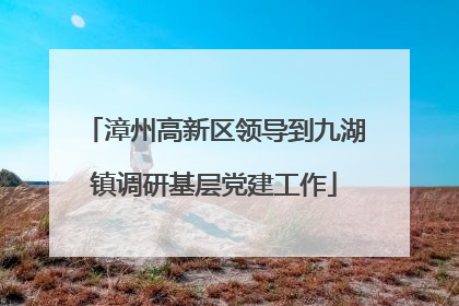 漳州高新区领导到九湖镇调研基层党建工作