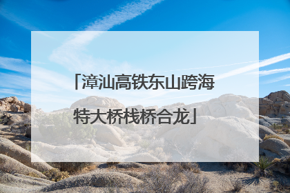 漳汕高铁东山跨海特大桥栈桥合龙