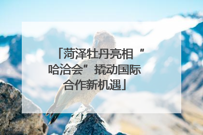 菏泽牡丹亮相“哈洽会”撬动国际合作新机遇