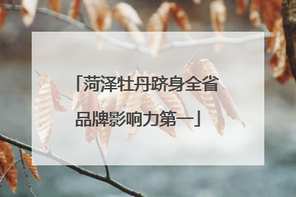 菏泽牡丹跻身全省品牌影响力第一
