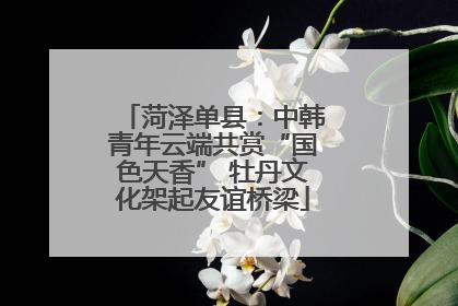 菏泽单县：中韩青年云端共赏“国色天香” 牡丹文化架起友谊桥梁