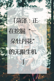 菏泽：正在挖掘“一朵牡丹花”的无限生机