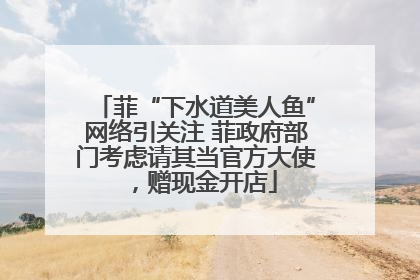 菲“下水道美人鱼”网络引关注 菲政府部门考虑请其当官方大使，赠现金开店