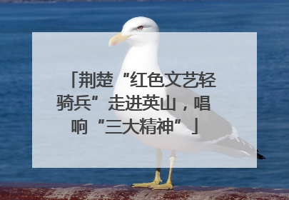 荆楚“红色文艺轻骑兵”走进英山，唱响“三大精神”