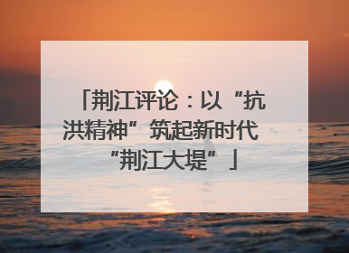 荆江评论：以“抗洪精神”筑起新时代“荆江大堤”