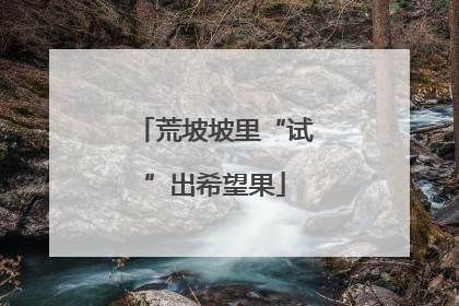 荒坡坡里“试”出希望果