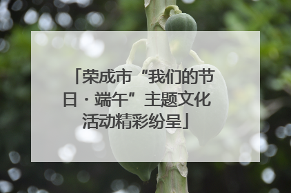 荣成市“我们的节日・端午”主题文化活动精彩纷呈