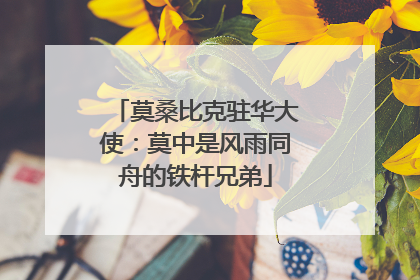 莫桑比克驻华大使：莫中是风雨同舟的铁杆兄弟