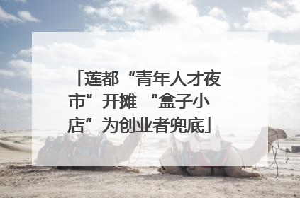 莲都“青年人才夜市”开摊 “盒子小店”为创业者兜底