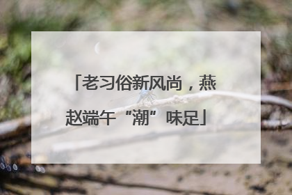 老习俗新风尚，燕赵端午“潮”味足