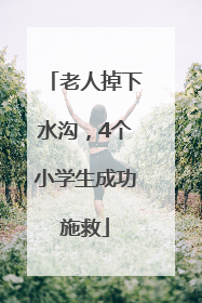 老人掉下水沟，4个小学生成功施救