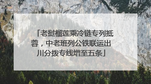 老挝榴莲乘冷链专列抵蓉，中老班列公铁联运出川分拨专线增至五条