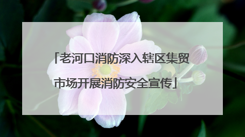 老河口消防深入辖区集贸市场开展消防安全宣传