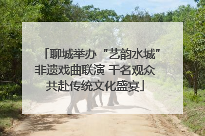 聊城举办“艺韵水城”非遗戏曲联演 千名观众共赴传统文化盛宴