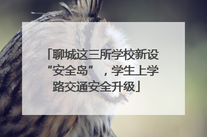 聊城这三所学校新设“安全岛”，学生上学路交通安全升级