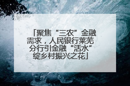 聚焦“三农”金融需求，人民银行莱芜分行引金融“活水”绽乡村振兴之花