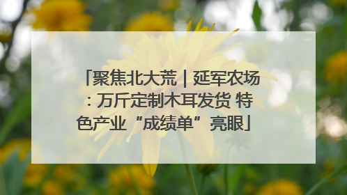 聚焦北大荒｜延军农场：万斤定制木耳发货 特色产业“成绩单”亮眼