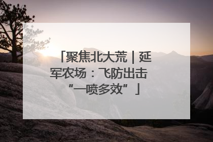 聚焦北大荒｜延军农场：飞防出击 “一喷多效”