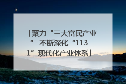 聚力“三大富民产业” 不断深化“1131”现代化产业体系