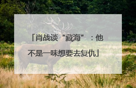 肖战谈“藏海”：他不是一味想要去复仇