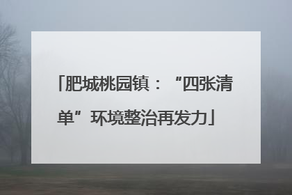 肥城桃园镇：“四张清单”环境整治再发力