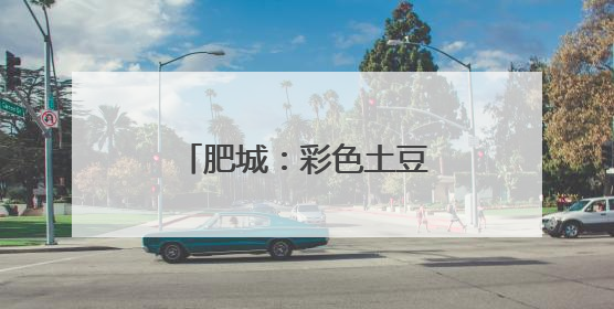 肥城：彩色土豆喜丰收，致富路上好“彩头”