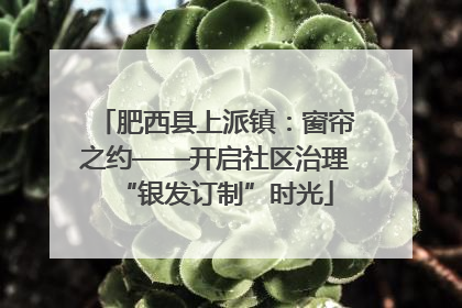 肥西县上派镇：窗帘之约——开启社区治理“银发订制”时光