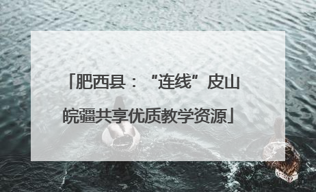 肥西县：“连线”皮山 皖疆共享优质教学资源