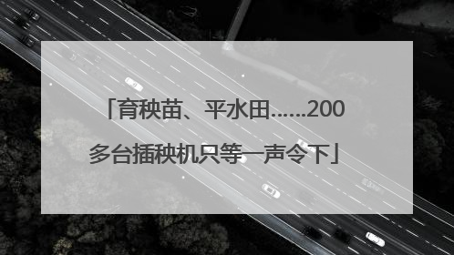 育秧苗、平水田……200多台插秧机只等一声令下