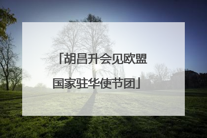 胡昌升会见欧盟国家驻华使节团