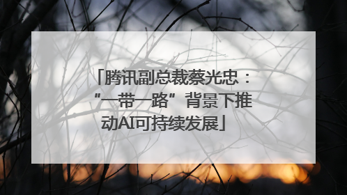 腾讯副总裁蔡光忠：“一带一路”背景下推动AI可持续发展